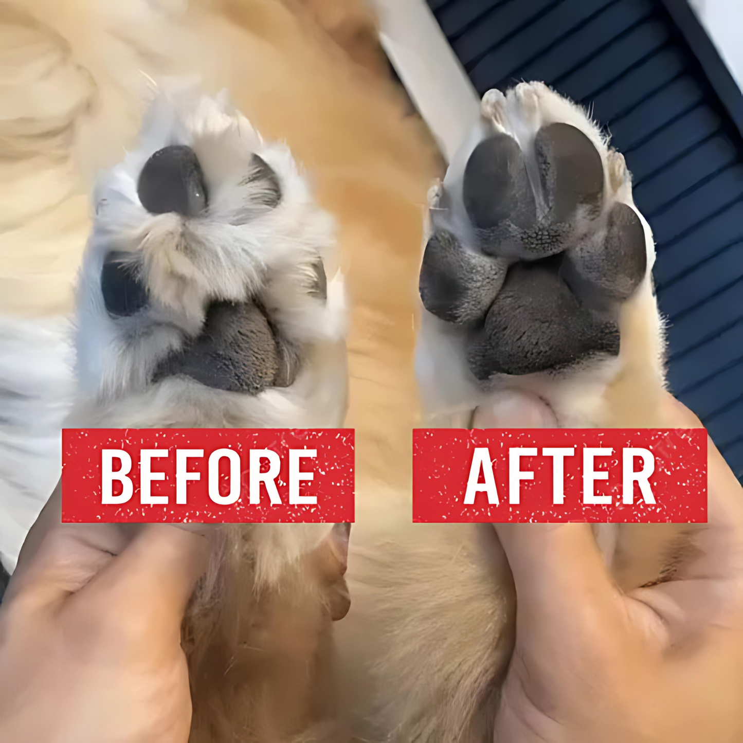 Precise paw trimmer for dogs & cats