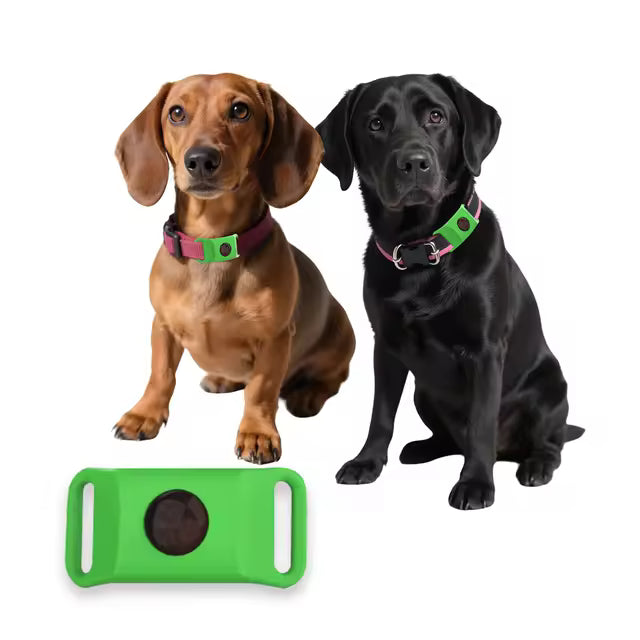Flea & Tick Collar – Dogs & Cats