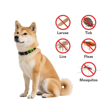 Flea & Tick Collar – Dogs & Cats