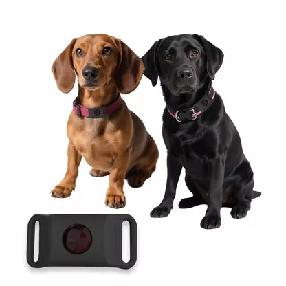 Flea & Tick Collar – Dogs & Cats