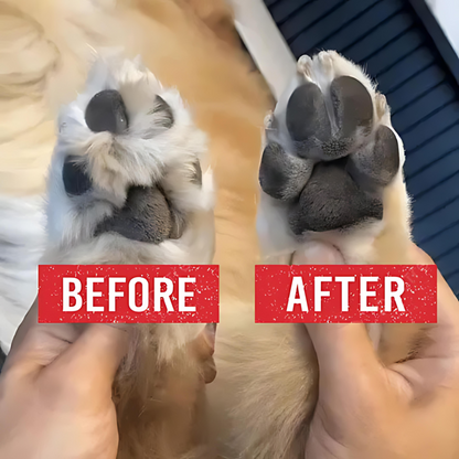 Precise paw trimmer for dogs & cats