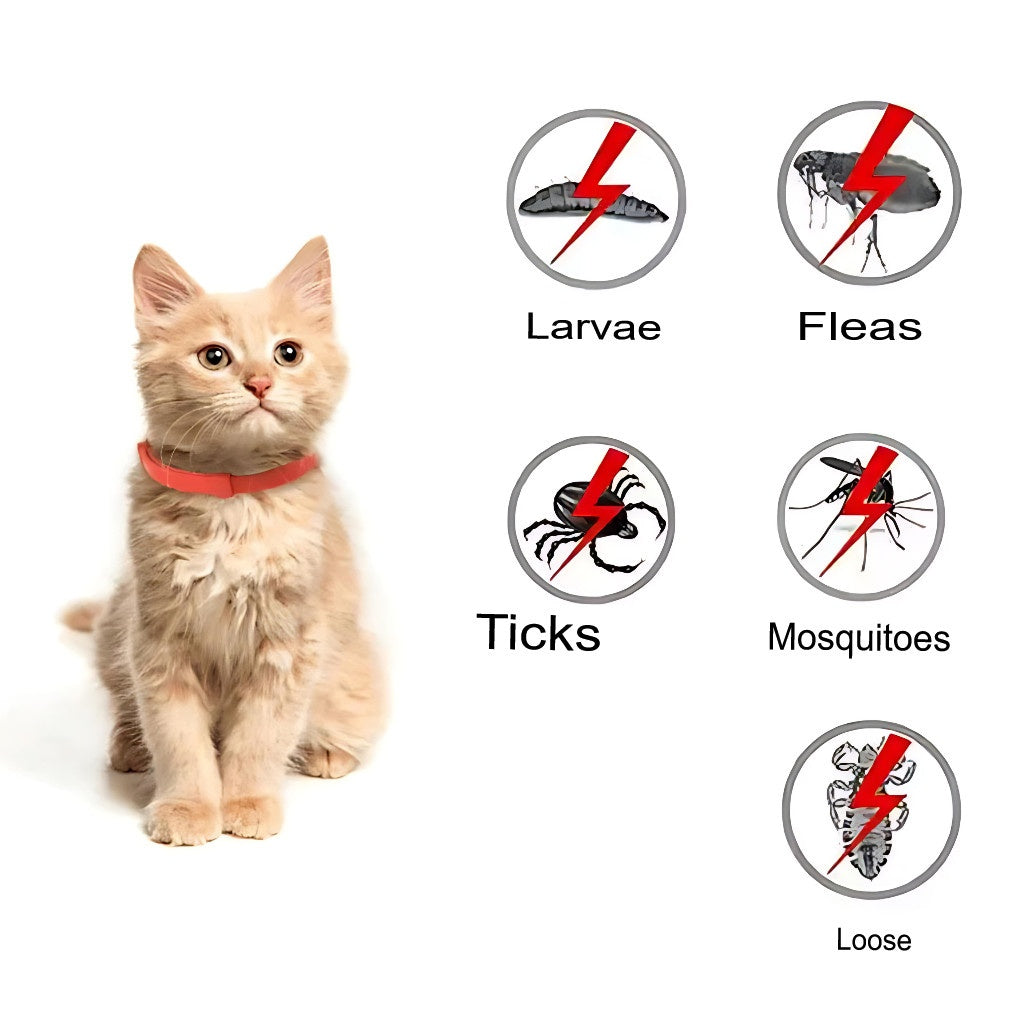 Natural Flea and Tick Collar for Cats – 8 Month Protection