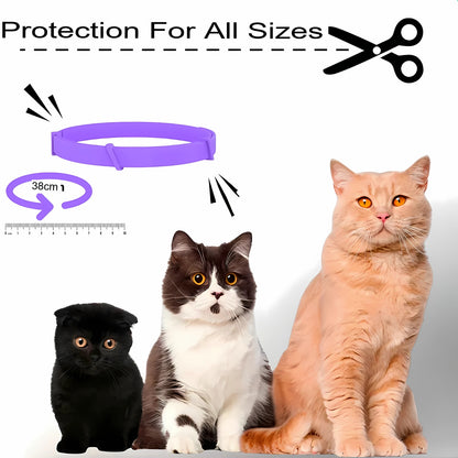 Natural Flea and Tick Collar for Cats – 8 Month Protection