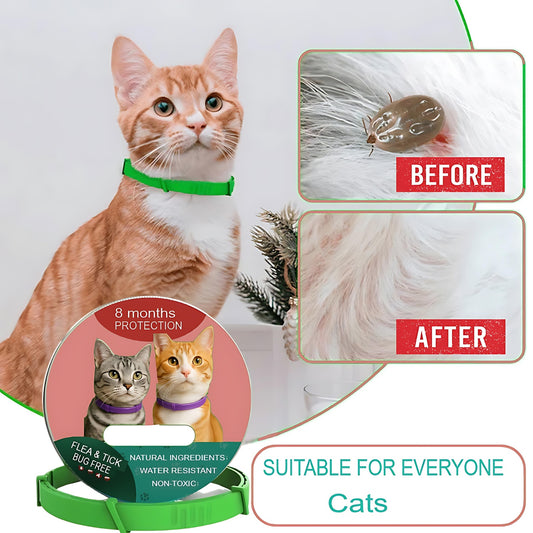 Natural Flea and Tick Collar for Cats – 8 Month Protection