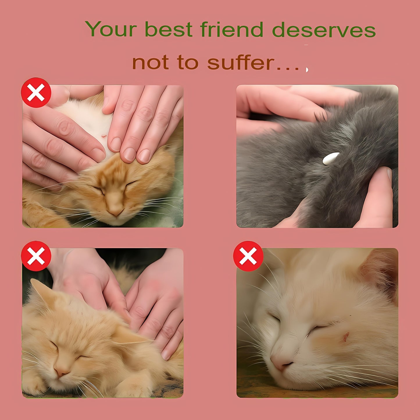 Natural Flea and Tick Collar for Cats – 8 Month Protection