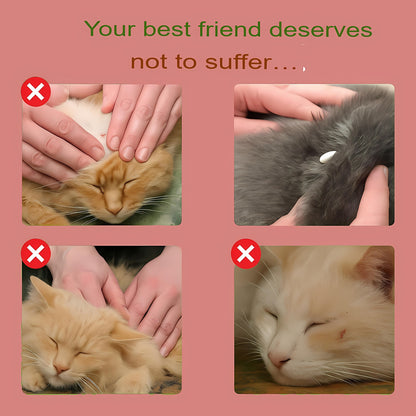 Natural Flea and Tick Collar for Cats – 8 Month Protection
